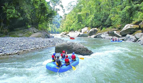 Thumbnail [100%x225]