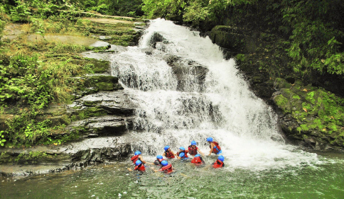 Thumbnail [100%x225]