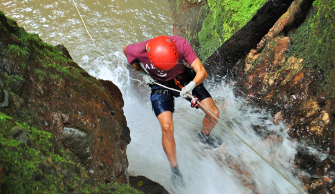 Thumbnail [100%x225]